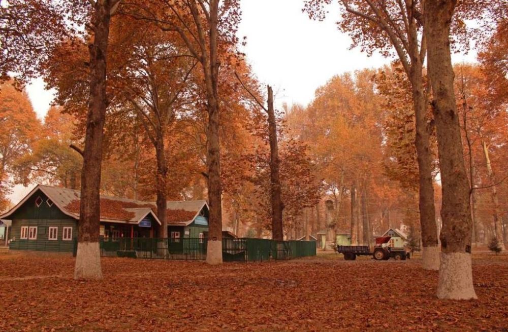 SEASONS OF KASHMIR:      AUTUMN